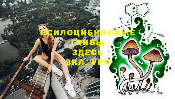 прущая мука Арсеньев