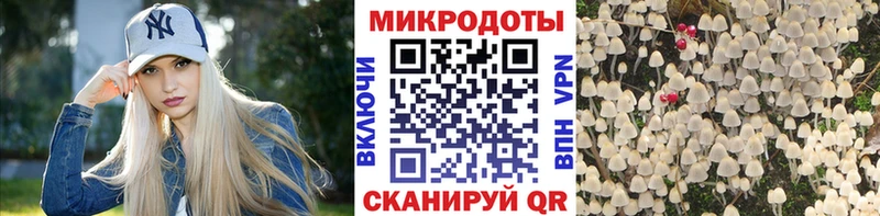 Галлюциногенные грибы мицелий  закладка  Порхов 